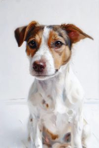Custom Pet Portrait Dog