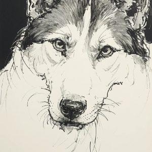 Pencil Portrait Pet